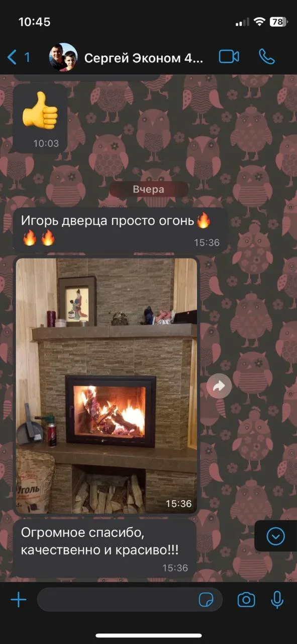 Дверца для камина Эконом: установленная дверца, фото 38 из 39